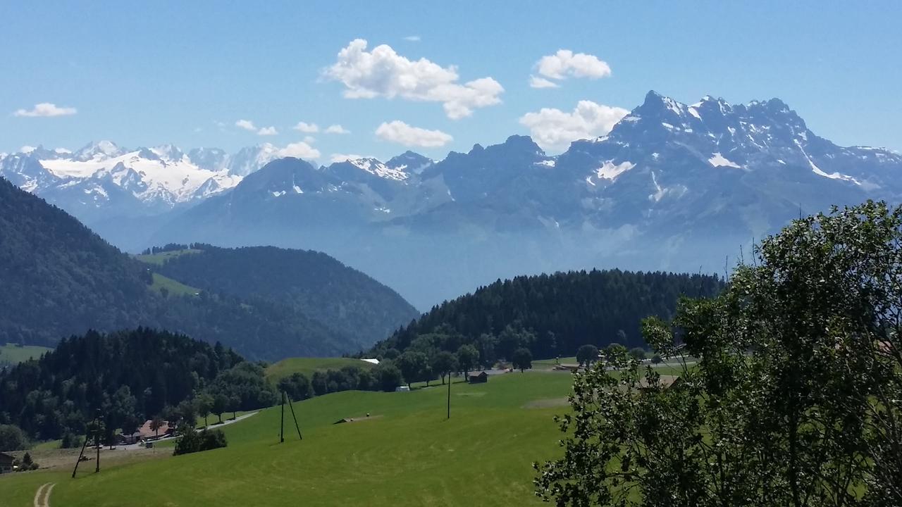 Winterfell Villa Leysin Eksteriør bilde