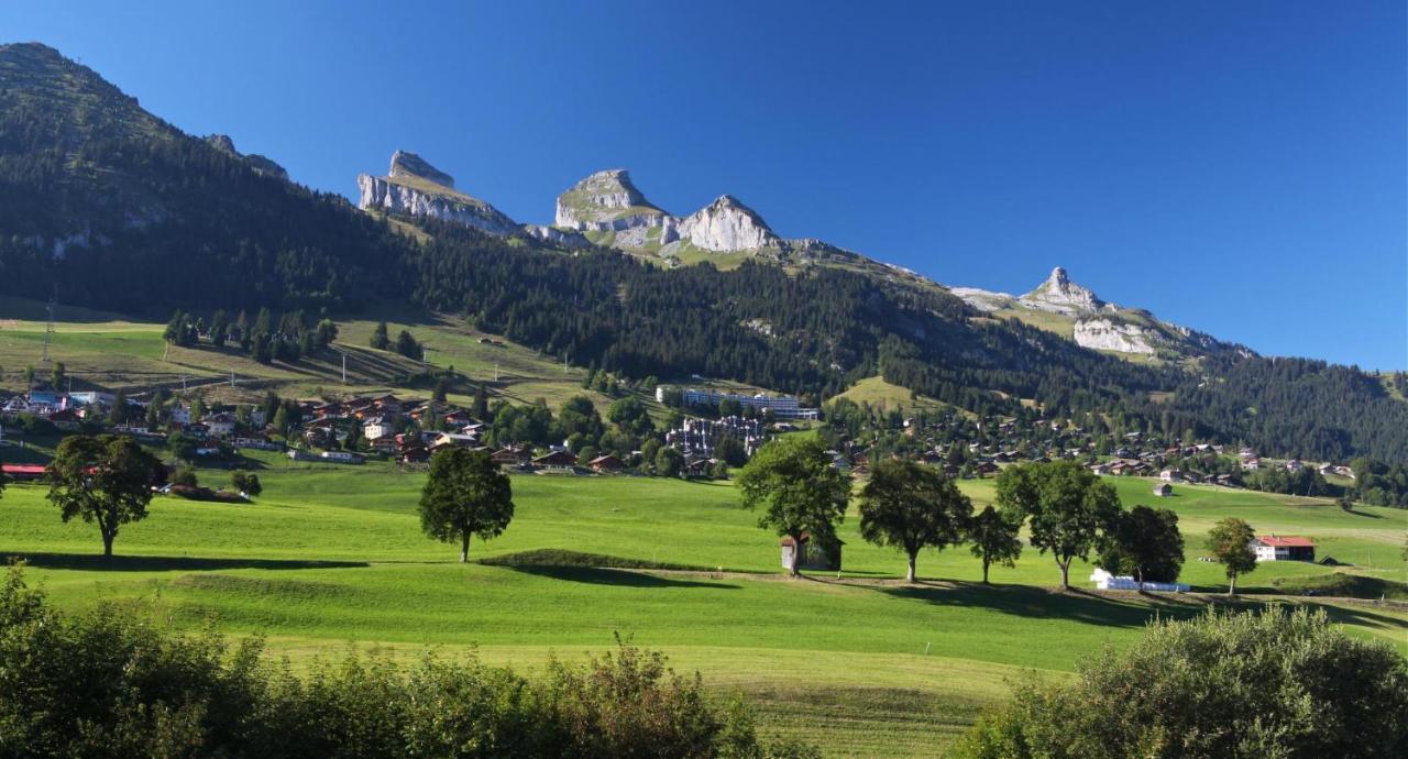 Winterfell Villa Leysin Eksteriør bilde